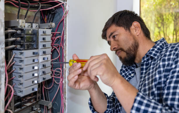 Best Electrical System Inspection  in Cannon Af, NM